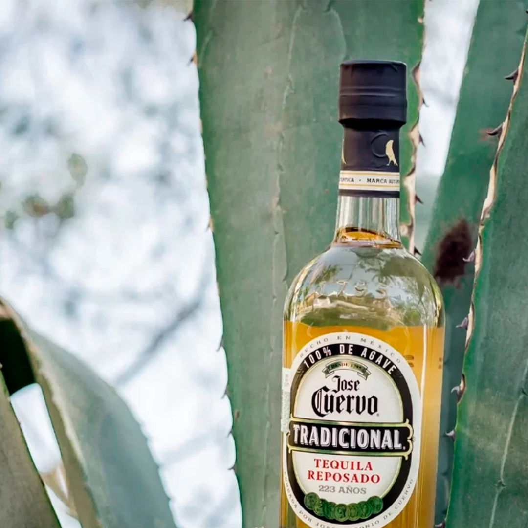 TEQUILA TRADICIONAL REPOSADO 695ML