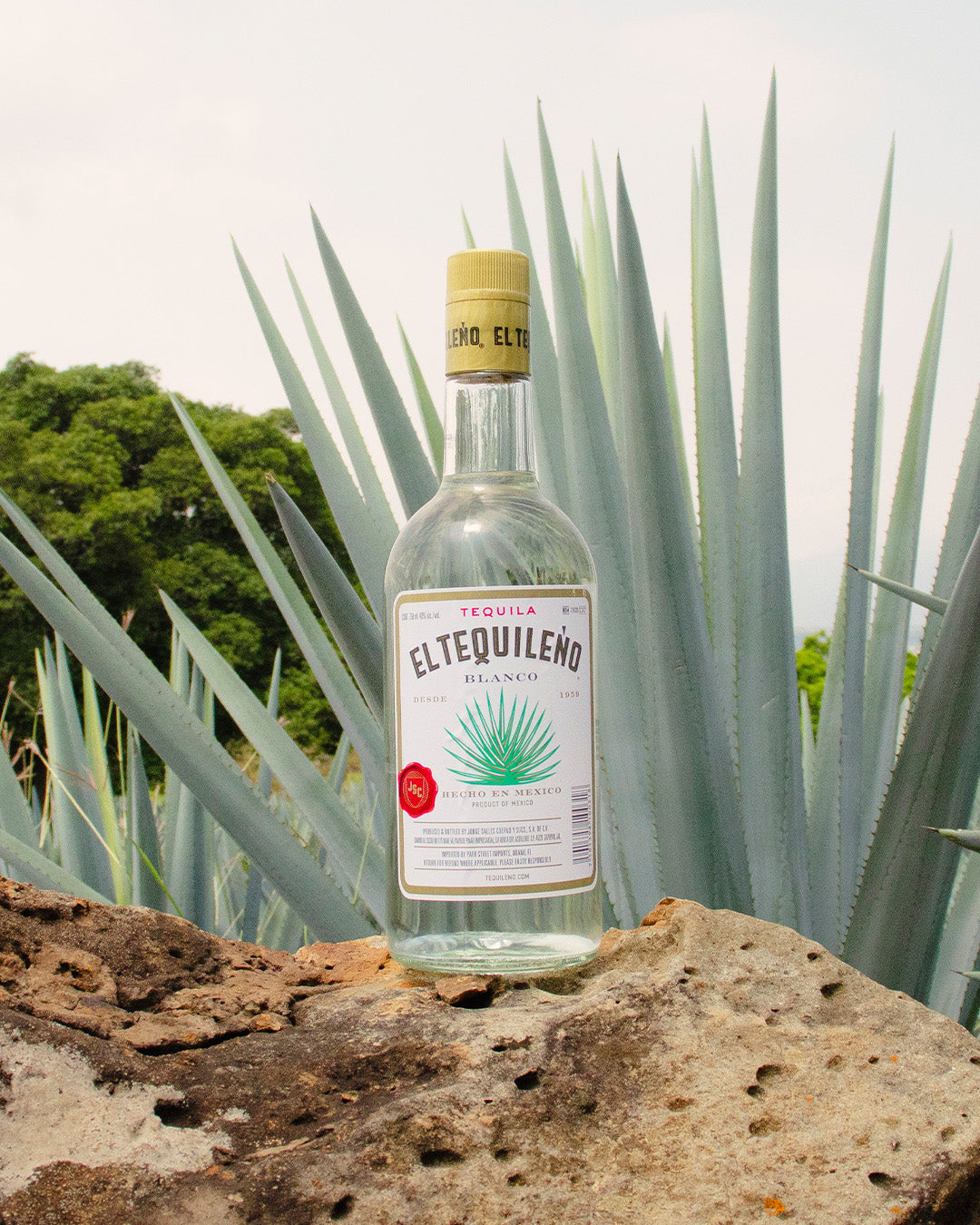 TEQUILA TEQUILEÑO BLANCO 1000ML