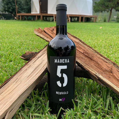 VINO TINTO MADERA 5 NEBBIOLO 750ML