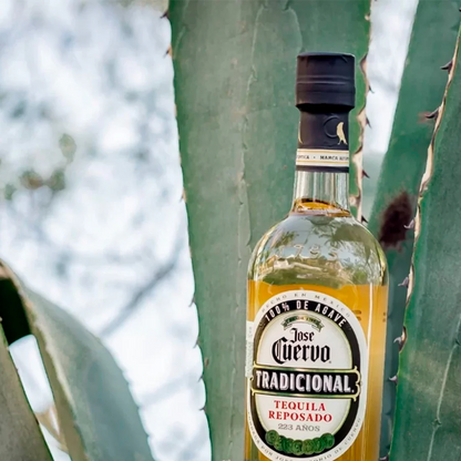 TEQUILA TRADICIONAL REPOSADO 695ML