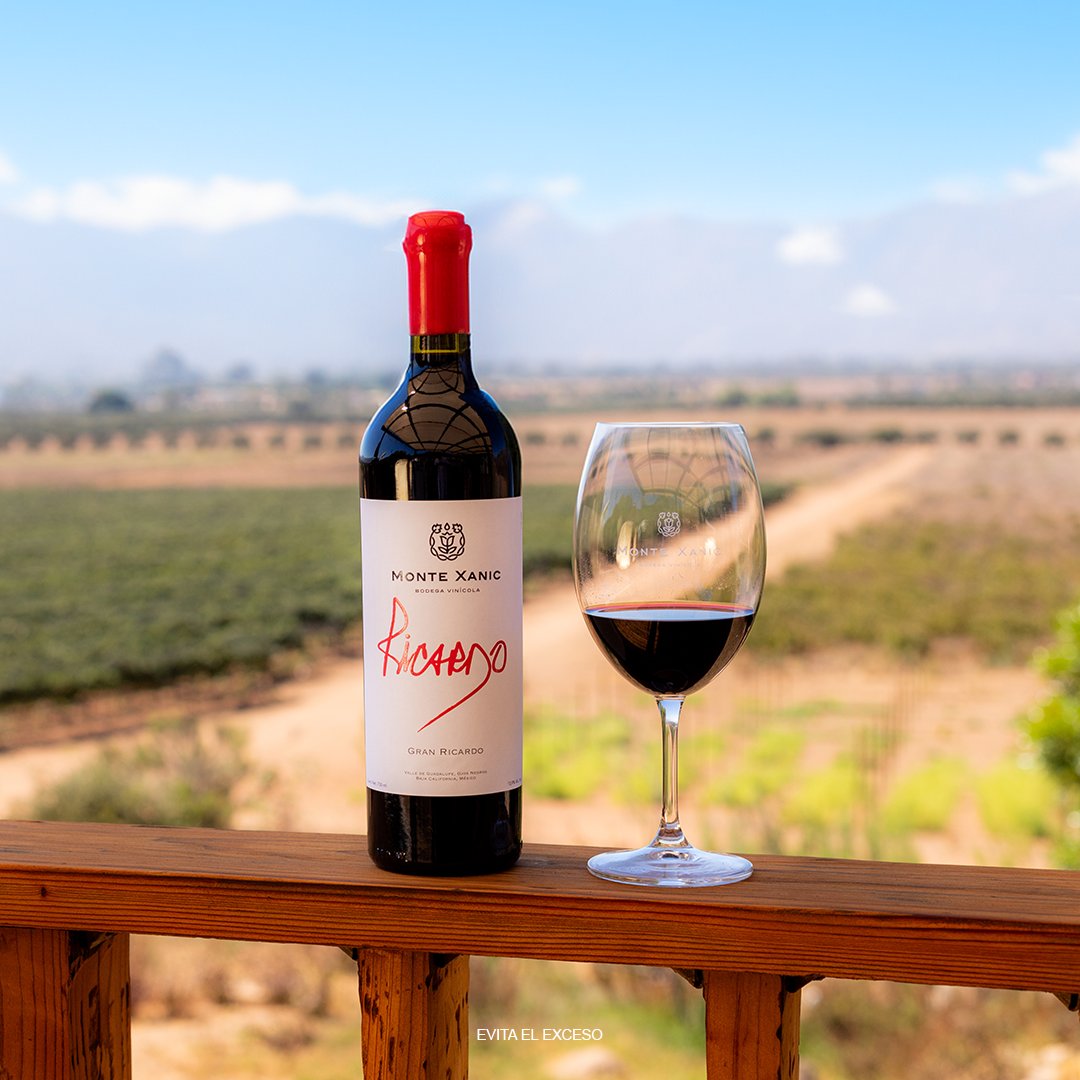 VINO TINTO MONTE XANIC GRAN RICARDO 750ML